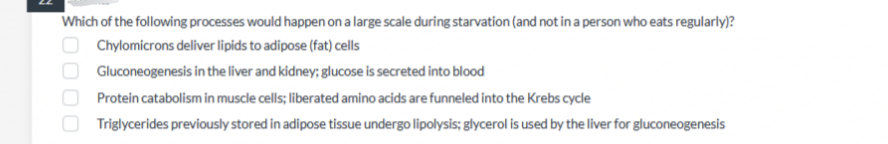 Which of the following processes would happen on a large scale during starvation (and not in a person who eats regularly)?
Chylomicrons deliver lipids to adipose (fat) cells
Gluconeogenesis in the liver and kidney; glucose is secreted into blood
Protein catabolism in muscle cells; liberated amino acids are funneled into the Krebs cycle
Triglycerides previously stored in adipose tissue undergo lipolysis; glycerol is used by the liver for gluconeogenesis