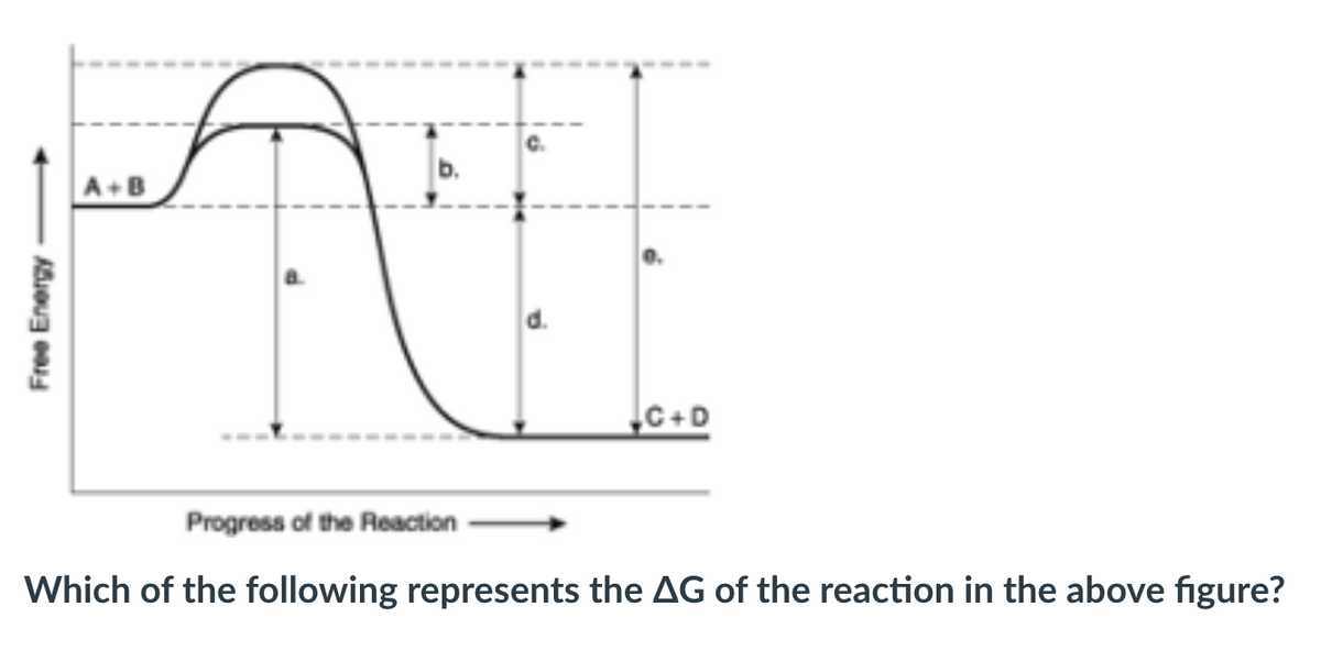 A+B
d.
C+D
Progress of the Reaction
Which of the following represents the AG of the reaction in the above figure?
Free Energy
