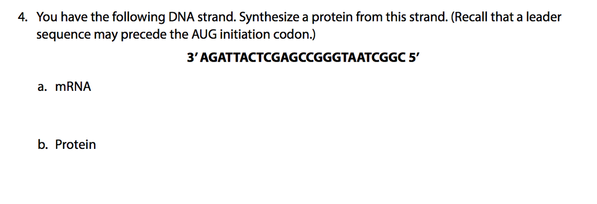 4. You have the following DNA strand. Synthesize a protein from this strand. (Recall that a leader
sequence may precede the AUG initiation codon.)
3' AGATTACTCGAGCCGGGTAATCGGC 5'
a. MRNA
b. Protein
