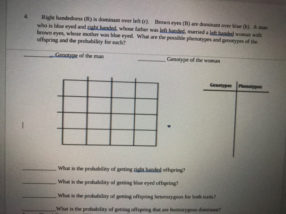 Right handedness (R) is dominant over left ().
who is blue eyed and right handed, whose father was left handed, married a left handed woman with
brown eyes, whose mother was blue eyed. What are the possible phenotypes and genotypes of the
offspring and the probability for each?
4.
Brown eyes (B) are dominant over blue (b). A man
Genotype of the man
Genotype of the woman
Genotypes Phenetypes
What is the probability of getting right handed offspring?
What is the probability of getting blue eyed offspring?
What is the probability of getting offspring heterozygous for both traits?
What is the probability of getting offspring that are homozygous dominant?
