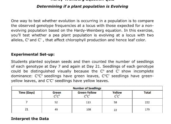 Determining if a plant population is Evolving
One way to test whether evolution is occurring in a population is to compare
the observed genotype frequencies at a locus with those expected for a non-
evolving population based on the Hardy-Weinberg equation. In this exercise,
you'll test whether a pea plant population is evolving at a locus with two
alleles, Cand C, that affect chlorophyll production and hence leaf color.
Experimental Set-up:
Students planted soybean seeds and then counted the number of seedlings
of each genotype at Day 7 and again at Day 21. Seedlings of each genotype
could be distinguished visually because the C° and C' show incomplete
dominance: C°C seedlings have green leaves, C°C" seedlings have green-
yellow leaves, and C'C' seedlings have yellow leaves.
Number of Seedlings
Time (Days)
Green-Yellow
Yellow
Total
Green
c"c
c'c"
7
52
113
58
222
21
49
108
22
179
Interpret the Data
