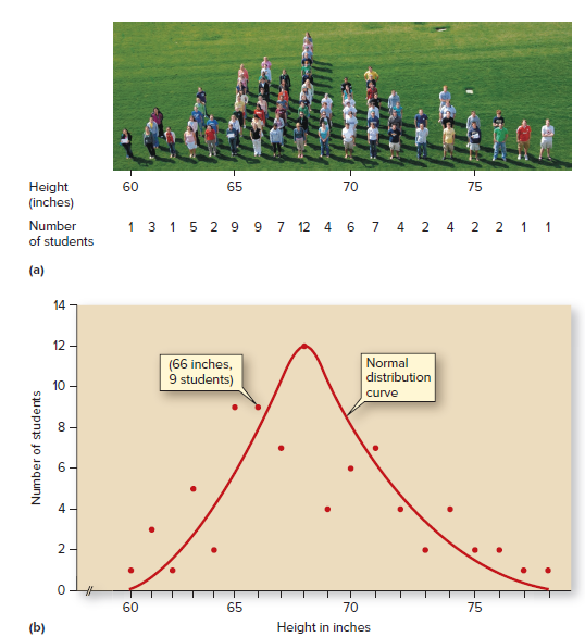 65
Height
(inches)
60
70
75
Number
1 3 15 2 9 9 7 12 4 6 7 4 2 4
2 2 1 1
of students
(a)
14 -
12 -
(66 inches,
9 students)
Normal
distribution
10
curve
60
65
70
75
(b)
Height in inches
Number of students
00
