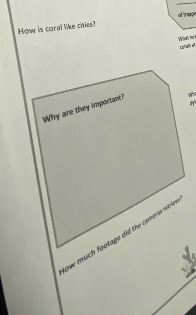 How is coral like cities?
of trappe
What new
corals at
Why are they important?
Wha
dyin
How much footage did the cameras retrieve?
