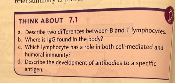 THINK ABOUT 7.1
a. Describe two differences between B and T lymphocytes.
b. Where is IgG found in the body?
c. Which lymphocyte has a role in both cell-mediated and
humoral immunity?
d. Describe the development of antibodies to a specific
antigen.