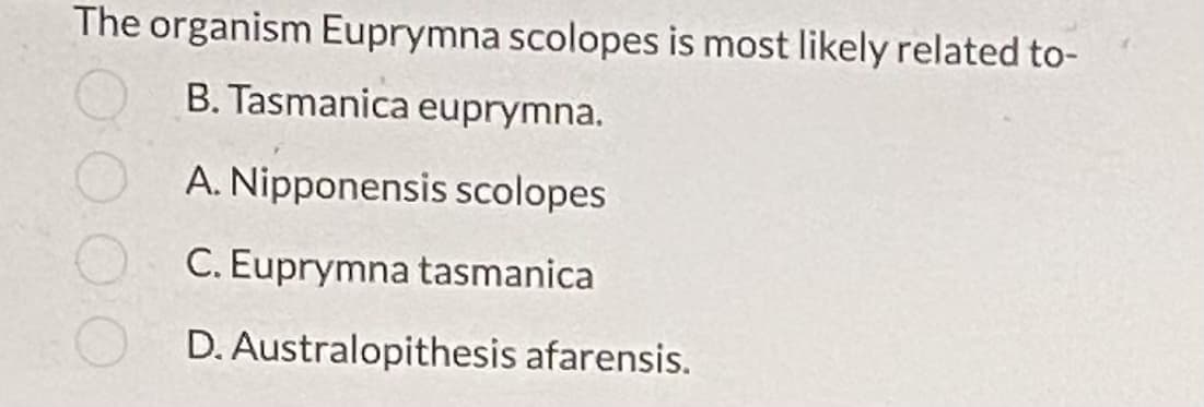 The organism Euprymna scolopes is most likely related to-
B. Tasmanica euprymna.
A. Nipponensis scolopes
C. Euprymna tasmanica
D. Australopithesis afarensis.