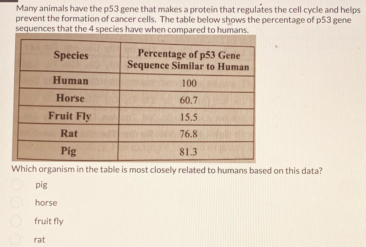 Many animals have the p53 gene that makes a protein that regulates the cell cycle and helps
prevent the formation of cancer cells. The table below shows the percentage of p53 gene
sequences that the 4 species have when compared to humans.
Species
Percentage of p53 Gene
Sequence Similar to Human
Human
100
Horse
60.7
Fruit Fly
15.5
Rat
76.8
Pig
81.3
Which organism in the table is most closely related to humans based on this data?
pig
horse
fruit fly
rat
0 0 0 0