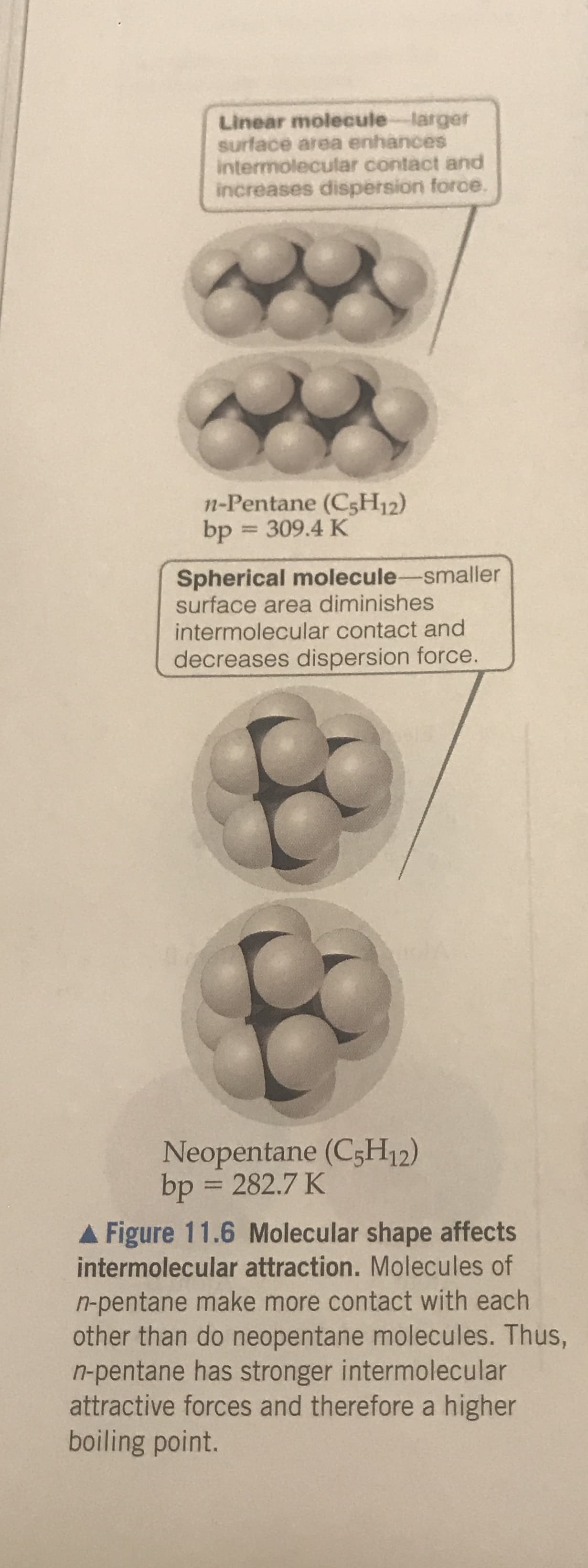 Linear molecule larger
Surface area enhances
intermolecular contact and
increases dispersion force.
n-Pentane (CsH12)
309.4 K
bp
Spherical molecule-smaller
surface area diminishes
intermolecular contact and
decreases dispersion force.
Neopentane (C5H12)
bp = 282.7 K
Figure 11.6 Molecular shape affects
intermolecular attraction. Molecules of
n-pentane make more contact with each
other than do neopentane molecules. Thus,
n-pentane has stronger intermolecular
attractive forces and therefore a higher
boiling point.
