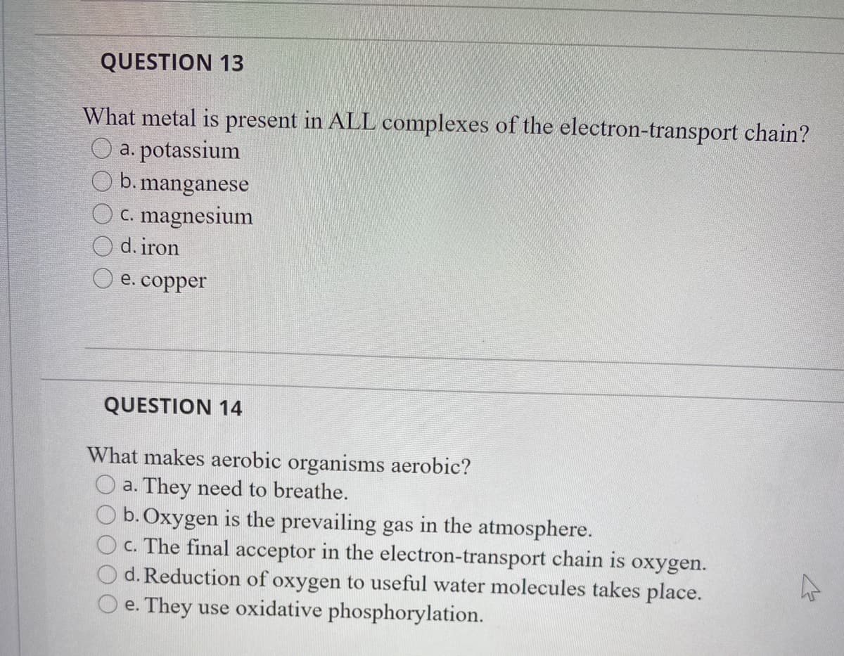 QUESTION 13
What metal is present in ALL complexes of the electron-transport chain?
O a. potassium
b. manganese
C. magnesium
d. iron
e. copper
QUESTION 14
What makes aerobic organisms aerobic?
O a. They need to breathe.
b. Oxygen is the prevailing gas in the atmosphere.
c. The final acceptor in the electron-transport chain is oxygen.
d. Reduction of oxygen to useful water molecules takes place.
e. They use oxidative phosphorylation.
