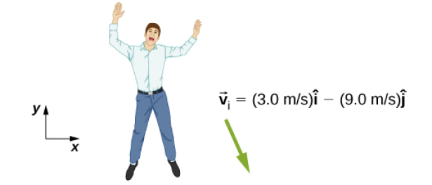 v; = (3.0 m/s)i – (9.0 m/s)j

