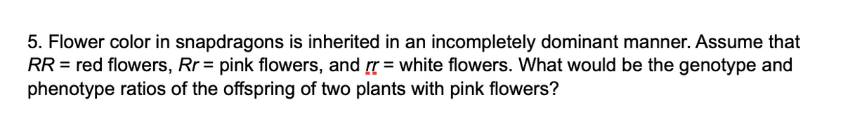5. Flower color in snapdragons is inherited in an incompletely dominant manner. Assume that
RR = red flowers, Rr = pink flowers, and rr = white flowers. What would be the genotype and
phenotype ratios of the offspring of two plants with pink flowers?