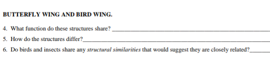 BUTTERFLY WING AND BIRD WING.
4. What function do these structures share?.
5. How do the structures differ?
6. Do birds and insects share any structural similarities that would suggest they are closely related?
