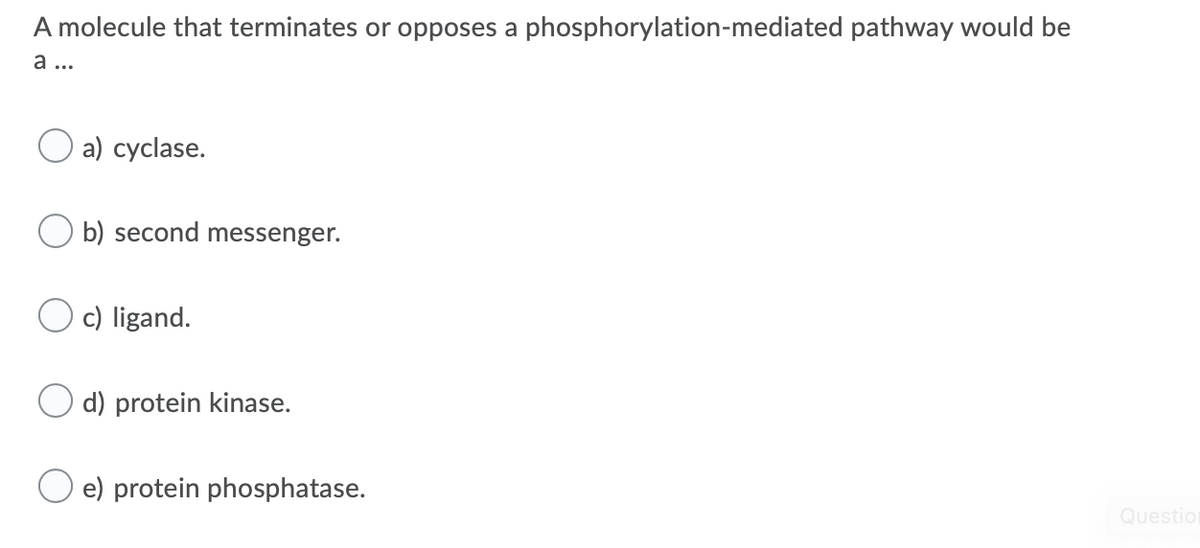 A molecule that terminates or opposes a phosphorylation-mediated pathway would be
а ...
а) сyclase.
b) second messenger.
c) ligand.
O d) protein kinase.
e) protein phosphatase.
Questio
