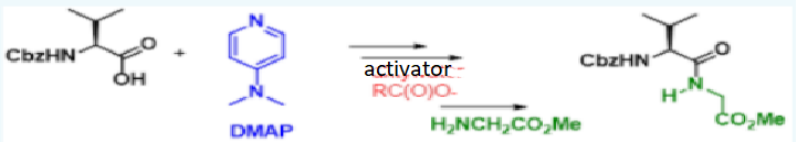 CbzHN
OHI
DMAP
activator
RC(O)O-
CbzHN
H₂NCH₂CO₂Me
H
CO₂Me