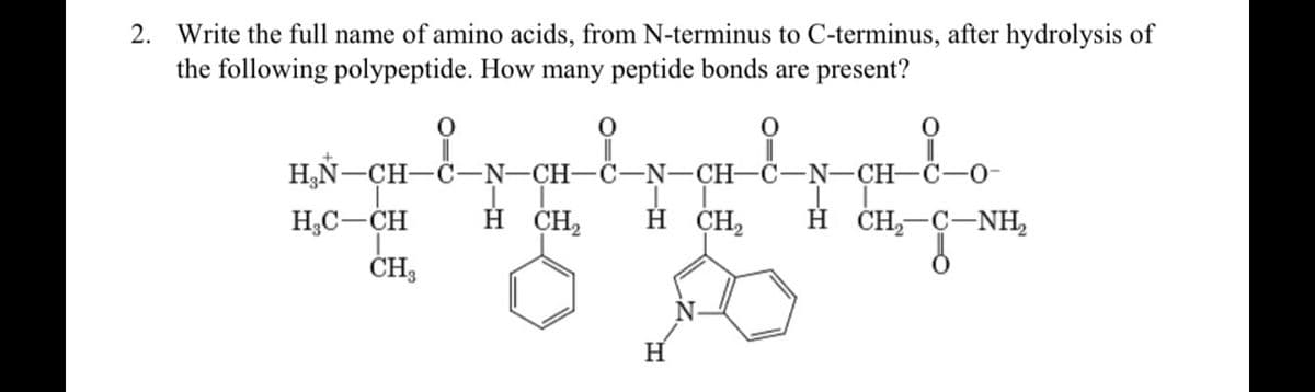 2. Write the full name of amino acids, from N-terminus to C-terminus, after hydrolysis of
the following polypeptide. How many peptide bonds are present?
Н.N—CH—C—N—CH—С—N-CH-C—N—CH-C—0-
H;C-CH
CH
H CH,
H CH,
H ČH-C-NH,
H
