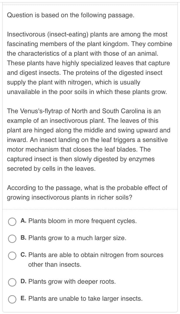 Question is based on the following passage.
Insectivorous (insect-eating) plants are among the most
fascinating members of the plant kingdom. They combine
the characteristics of a plant with those of an animal.
These plants have highly specialized leaves that capture
and digest insects. The proteins of the digested insect
supply the plant with nitrogen, which is usually
unavailable in the poor soils in which these plants grow.
The Venus's-flytrap of North and South Carolina is an
example of an insectivorous plant. The leaves of this
plant are hinged along the middle and swing upward and
inward. An insect landing on the leaf triggers a sensitive
motor mechanism that closes the leaf blades. The
captured insect is then slowly digested by enzymes
secreted by cells in the leaves.
According to the passage, what is the probable effect of
growing insectivorous plants in richer soils?
A. Plants bloom in more frequent cycles.
B. Plants grow to a much larger size.
C. Plants are able to obtain nitrogen from sources
other than insects.
D. Plants grow with deeper roots.
E. Plants are unable to take larger insects.