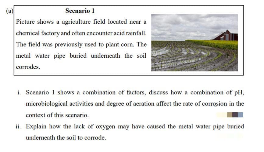 (a)
Scenario 1
Picture shows a agriculture field located near a
chemical factory and often encounter acid rainfall.
The field was previously used to plant corn. The
metal water pipe buried underneath the soil
corrodes.
i. Scenario 1 shows a combination of factors, discuss how a combination of pH,
microbiological activities and degree of aeration affect the rate of corrosion in the
context of this scenario.
ii. Explain how the lack of oxygen may have caused the metal water pipe buried
underneath the soil to corrode.
