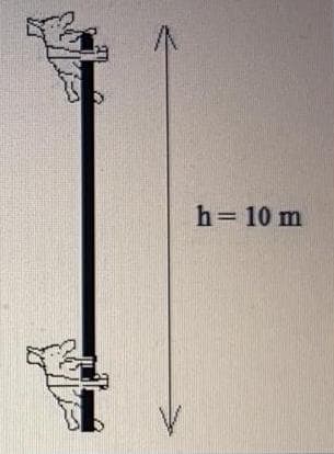h=10 m
