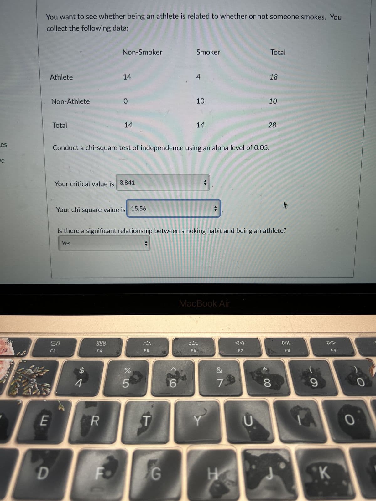 es
ve
CO
F2
You want to see whether being an athlete is related to whether or not someone smokes. You
collect the following data:
E
Athlete
Non-Athlete
D
Total
80
F3
Your critical value is 3.841
Yes
Your chi square value is 15.56
S4
Non-Smoker
000
000
14
F4
0
R
14
Conduct a chi-square test of independence using an alpha level of 0.05.
Fo
%
Is there a significant relationship between smoking habit and being an athlete?
65
→
F5
T
G
Smoker
6
4
10
F6
14
→
MacBook Air
&
7
H
◄◄
F7
Total
D
18
10
28
8
DII
F8
9
1
SK
F9
0
O