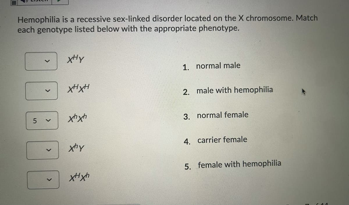Hemophilia is a recessive sex-linked disorder located on the X chromosome. Match
each genotype listed below with the appropriate phenotype.
xHY
1. normal male
XHXH
2. male with hemophilia
3. normal female
xhy
4. carrier female
5. female with hemophilia

