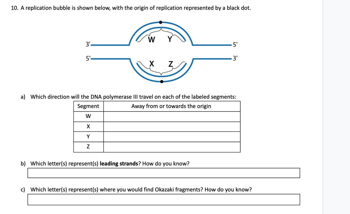 10. A replication bubble is shown below, with the origin of replication represented by a black dot.
W
3'.
5'
5'.
3'
X
a) Which direction will the DNA polymerase III travel on each of the labeled segments:
Segment
Away from or towards the origin
W
Y
b) Which letter(s) represent(s) leading strands? How do you know?
c) Which letter(s) represent(s) where you would find Okazaki fragments? How do
you
know?
