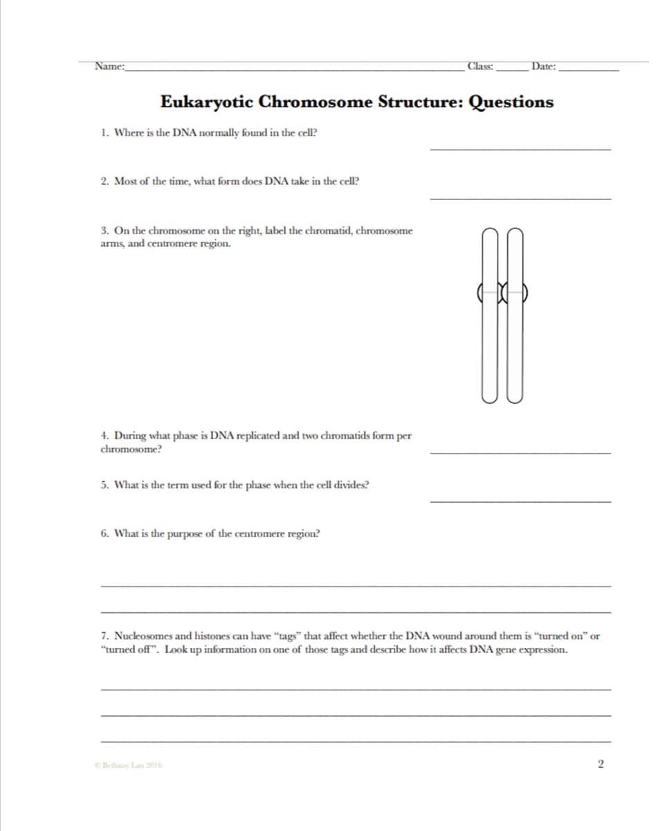 Name:
Class:
Date:
Eukaryotic Chromosome Structure: Questions
1. Where is the DNA normally found in the cell?
2. Most of the time, what form does DNA take in the cell?
3. On the chromosome on the right, label the chromatid, chromosome
arms, and centromere region.
4. During what phase is DNA replicated and two chromatids form per
chromosome?
5. What is the term used for the phase when the cell divides?
6. What is the purpose of the centromere region?
7. Nucleosomes and histones can have "tags" that affect whether the DNA wound around them is “turned on" or
"turned off". Look up information on one of those tags and describe how it affects DNA gene expression.
OBethany Lau 2016
