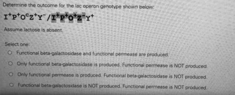 Determine the outcome for the lac operon genotype shown below:
I*p*o°z*y/I*p*o*z*x*
Assume lactose is absent.
Select one:
O Functional beta-galactosidase and functional permease are produced.
O Only functional beta-galactosidase is produced. Functional permease is NOT produced.
O Only functional permease is produced. Functional beta-galactosidase is NOT produced.
O Functional beta-galactosidase is NOT produced. Functional permease is NOT produced.
