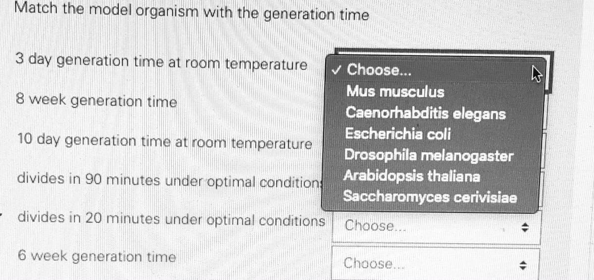 Match the model organism with the generation time
3 day generation time at room temperature
v Choose...
Mus musculus
8 week generation time
Caenorhabditis elegans
10 day generation time at room temperature
Escherichia coli
Drosophila melanogaster
Arabidopsis thaliana
Saccharomyces cerivisiae
divides in 90 minutes under optimal conditions
divides in 20 minutes under optimal conditions
Choose...
6 week generation time
Choose...
