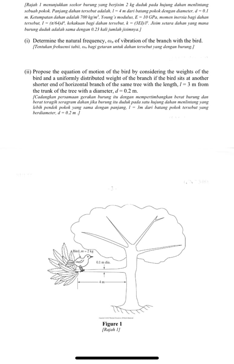 [Rajah 1 menunjukkan seekor burung yang berjisim 2 kg duduk pada hujung dahan menlintang
sebuah pokok. Panjang dahan tersebut adalah, I = 4 m dari batang pokok dengan diameter, d = 0.1
m. Ketumpatan dahan adalah 700 kg/m², Young's modulus, E = 10 GPa, momen inersia bagi dahan
tersebut, I = (n/64)d*, kekakuan bagi dahan tersebut, k = (3EI)/l³. Jisim setara dahan yang mana
burung duduk adalah sama dengan 0.23 kali jumlah jisimnya.]
(i) Determine the natural frequency, @„ of vibration of the branch with the bird.
[Tentukan frekuensi tabii, wn bagi getaran untuk dahan tersebut yang dengan burung.]
(ii) Propose the equation of motion of the bird by considering the weights of the
bird and a uniformly distributed weight of the branch if the bird sits at another
shorter end of horizontal branch of the same tree with the length, I = 3 m from
the trunk of the tree with a diameter, d = 0.2 m.
[Cadangkan persamaan gerakan burung itu dengan mempertimbangkan berat burung dan
berat teragih seragram dahan jika burung itu duduk pada satu hujung dahan menlintang yang
lebih pendek pokok yang sama dengan panjang, 1 = 3m dari batang pokok tersebut yang
berdiameter, d = 0.2 m .]
Bird, m = 2 kg
0.1 m dia.
4 m
Figure 1
[Rajah 1]
