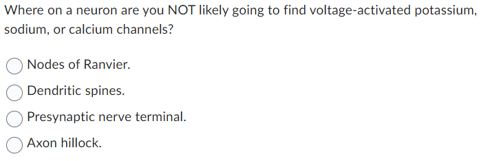 Where on a neuron are you NOT likely going to find voltage-activated potassium,
sodium, or calcium channels?
Nodes of Ranvier.
Dendritic spines.
Presynaptic nerve terminal.
Axon hillock.