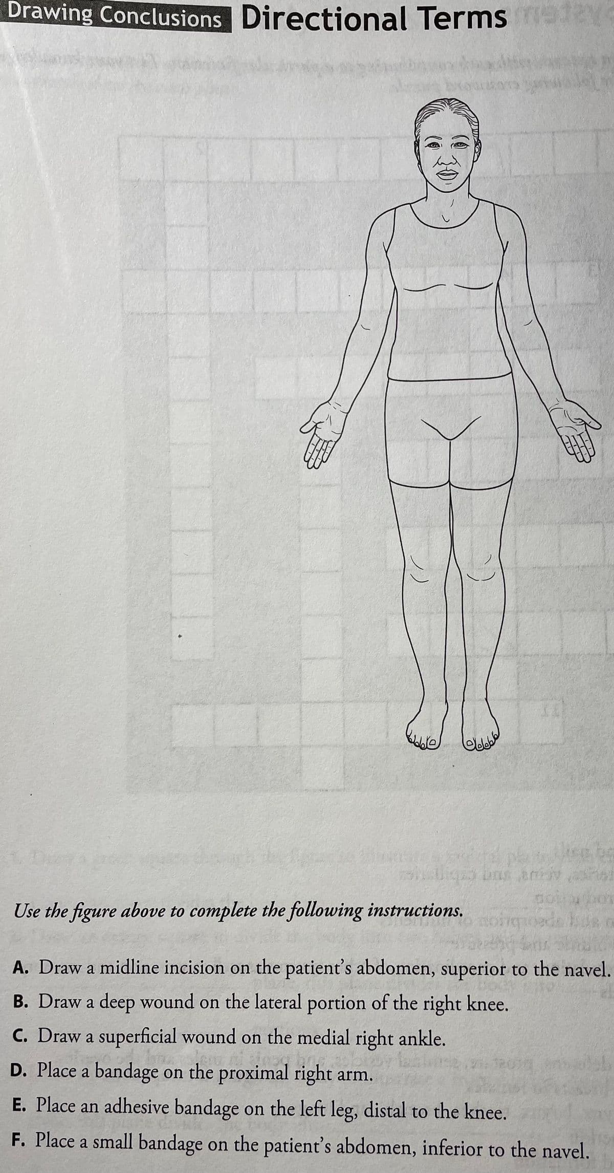 Drawing Conclusions Directional Terms e1ey
ACTU SUO Cs
Use the figure above to complete the following instructions.
A. Draw a midline incision on the patient's abdomen, superior to the navel.
B. Draw a deep wound on the lateral portion of the right knee.
C. Draw a superficial wound on the medial right ankle.
D. Place a bandage on the proximal right arm.
E. Place an adhesive bandage on the left leg, distal to the knee.
F. Place a small bandage on the patient's abdomen, inferior to the navel.
