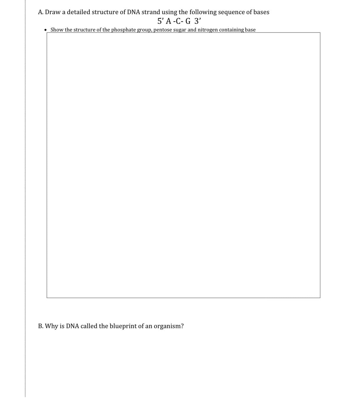 A. Draw a detailed structure of DNA strand using the following sequence of bases
5'A -C- G 3'
Show the structure of the phosphate group, pentose sugar and nitrogen containing base
B. Why is DNA called the blueprint of an organism?
