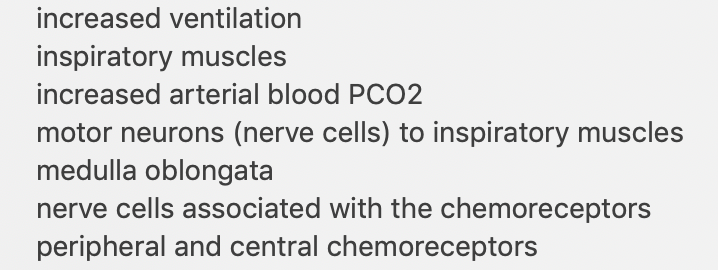 increased ventilation
inspiratory muscles
increased arterial blood PCO2
motor neurons (nerve cells) to inspiratory muscles
medulla oblongata
nerve cells associated with the chemoreceptors
peripheral and central chemoreceptors

