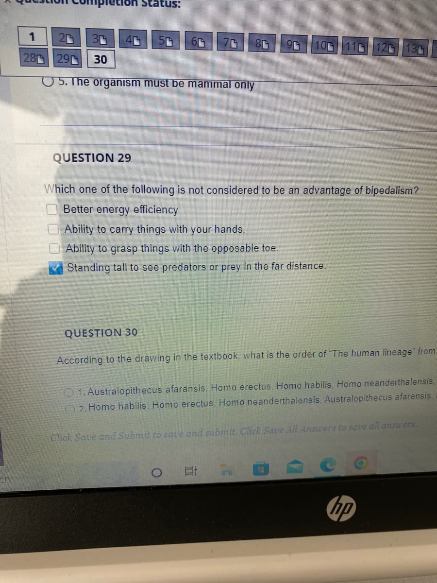 th
1
28
letion Status:
5
14
8
91 100 110 120 130
29
30
5. The organism must be mammal only
QUESTION 29
Which one of the following is not considered to be an advantage of bipedalism?
Better energy efficiency
Ability to carry things with your hands.
Ability to grasp things with the opposable toe.
Standing tall to see predators or prey in the far distance.
QUESTION 30
According to the drawing in the textbook, what is the order of "The human lineage" from
01. Australopithecus afaransis. Homo erectus. Homo habilis, Homo neanderthalensis,
2. Homo habilis. Homo erectus. Homo neanderthalensis. Australopithecus afarensis.
Click Save and Submit to save and submit. Click Save All Answers to save all answers.
hp
3000