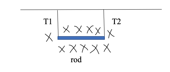 T1
T2
メメXXX
×XメスX
rod
