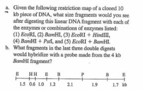 a. Given the following restriction map of a cloned 10
kb piece of DNA, what size fragments would you see
after digesting this linear DNA fragment with each of
the enzymes or combinations of enzymes listed:
(1) EcoRI, (2) BamHI, (3) EcoRI + HindlII,
(4) BamHI + Psl, and (5) EcoRI + BamHI.
b. What fragments in the last three double digests
would hybridize with a probe made from the 4 kb
BamHI fragment?
E
HH E
++
+
1.5 0.6 1.0 1.2
B
E
+
2.1
1.9
1.7 kb
