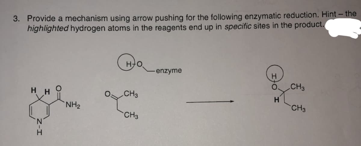 3. Provide a mechanism using arrow pushing for the following enzymatic reduction. Hint - the
highlighted hydrogen atoms in the reagents end up in specific sites in the product.
HO,
enzyme
CH3
H
CH3
H.
CH3
NH2
CH3
N'
