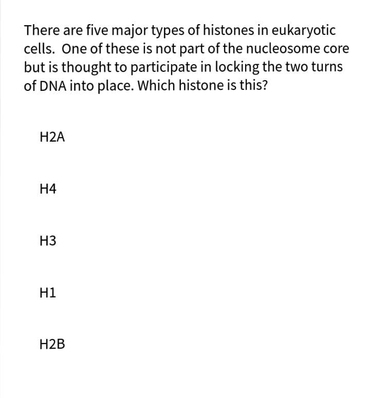 There are five major types of histones in eukaryotic
cells. One of these is not part of the nucleosome core
but is thought to participate in locking the two turns
of DNA into place. Which histone is this?
H2A
Н4
H3
H1
H2B
