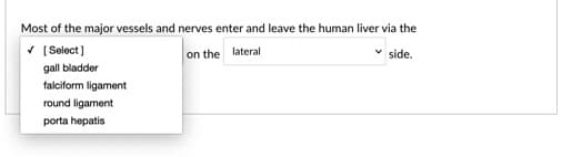 Most of the major vessels and nerves enter and leave the human liver via the
* ( Select)
on the lateral
v side.
gall bladder
falciform ligament
round ligament
porta hepatis
