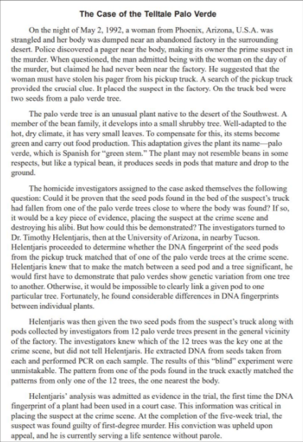 The Case of the Telltale Palo Verde
On the night of May 2, 1992, a woman from Phoenix, Arizona, U.S.A. was
strangled and her body was dumped near an abandoned factory in the surrounding
desert. Police discovered a pager near the body, making its owner the prime suspect in
the murder. When questioned, the man admitted being with the woman on the day of
the murder, but claimed he had never been near the factory. He suggested that the
woman must have stolen his pager from his pickup truck. A search of the pickup truck
provided the crucial clue. It placed the suspect in the factory. On the truck bed were
two seeds from a palo verde tree.
The palo verde tree is an unusual plant native to the desert of the Southwest. A
member of the bean family, it develops into a small shrubby tree. Well-adapted to the
hot, dry climate, it has very small leaves. To compensate for this, its stems become
green and carry out food production. This adaptation gives the plant its name-palo
verde, which is Spanish for "green stem." The plant may not resemble beans in some
respects, but like a typical bean, it produces seeds in pods that mature and drop to the
ground.
The homicide investigators assigned to the case asked themselves the following
question: Could it be proven that the seed pods found in the bed of the suspect's truck
had fallen from one of the palo verde trees close to where the body was found? If so,
it would be a key piece of evidence, placing the suspect at the crime scene and
destroying his alibi. But how could this be demonstrated? The investigators turned to
Dr. Timothy Helentjaris, then at the University of Arizona, in nearby Tucson.
Helentjaris proceeded to determine whether the DNA fingerprint of the seed pods
from the pickup truck matched that of one of the palo verde trees at the crime scene.
Helentjaris knew that to make the match between a seed pod and a tree significant, he
would first have to demonstrate that palo verdes show genetic variation from one tree
to another. Otherwise, it would be impossible to clearly link a given pod to one
particular tree. Fortunately, he found considerable differences in DNA fingerprints
between individual plants.
Helentjaris was then given the two seed pods from the suspect's truck along with
pods collected by investigators from 12 palo verde trees present in the general vicinity
of the factory. The investigators knew which of the 12 trees was the key one at the
crime scene, but did not tell Helentjaris. He extracted DNA from seeds taken from
cach and performed PCR on each sample. The results of this "blind" experiment were
unmistakable. The pattern from one of the pods found in the truck exactly matched the
patterns from only one of the 12 trees, the one nearest the body.
Helentjaris" analysis was admitted as evidence in the trial, the first time the DNA
fingerprint of a plant had been used in a court case. This information was critical in
placing the suspect at the crime scene. At the completion of the five-week trial, the
suspect was found guilty of first-degree murder. His conviction was upheld upon
appeal, and he is currently serving a life sentence without parole.
