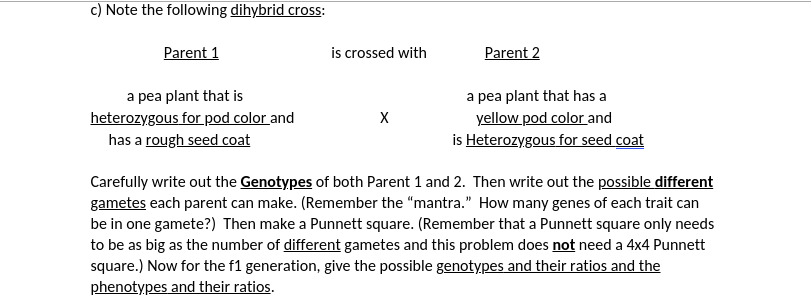 c) Note the following dihybrid cross:
Parent 1
is crossed with
Parent 2
a pea plant that is
heterozygous for pod color and
has a rough seed coat
a pea plant that has a
yellow pod color and
is Heterozygous for seed coat
Carefully write out the Genotypes of both Parent 1 and 2. Then write out the possible different
gametes each parent can make. (Remember the "mantra." How many genes of each trait can
be in one gamete?) Then make a Punnett square. (Remember that a Punnett square only needs
to be as big as the number of different gametes and this problem does not need a 4x4 Punnett
square.) Now for the f1 generation, give the possible genotypes and their ratios and the
phenotypes and their ratios.
