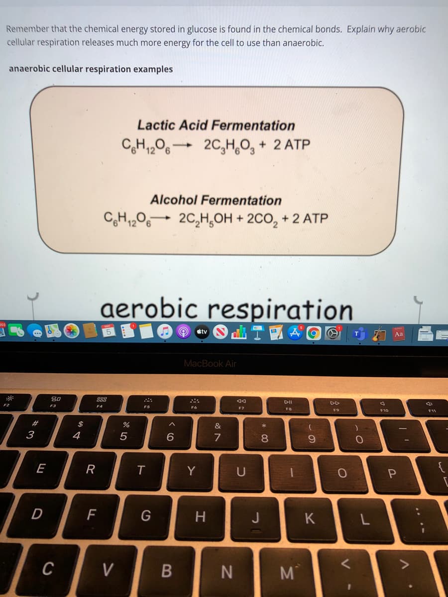 Remember that the chemical energy stored in glucose is found in the chemical bonds. Explain why aerobic
cellular respiration releases much more energy for the cell to use than anaerobic.
anaerobic cellular respiration examples
Lactic Acid Fermentation
20,H,O, + 2 ATP
Alcohol Fermentation
2C,H,OH + 2CO, + 2 ATP
aerobic respiration
tv
Aa
MacBook Air
80
888
DII
DD
F2
F3
F5
F7
F8
F9
F10
F11
23
$
&
*
3
4
5
7
8
E
R
Y
U
{
D
K
L
C
V
M
.. .-
