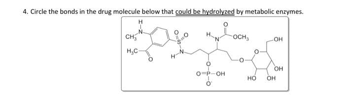4. Circle the bonds in the drug molecule below that could be hydrolyzed by metabolic enzymes.
H
N
CH₂
H3C
Н.
O P-OH
0
-OCH3 -OH
HO
OH
OH
