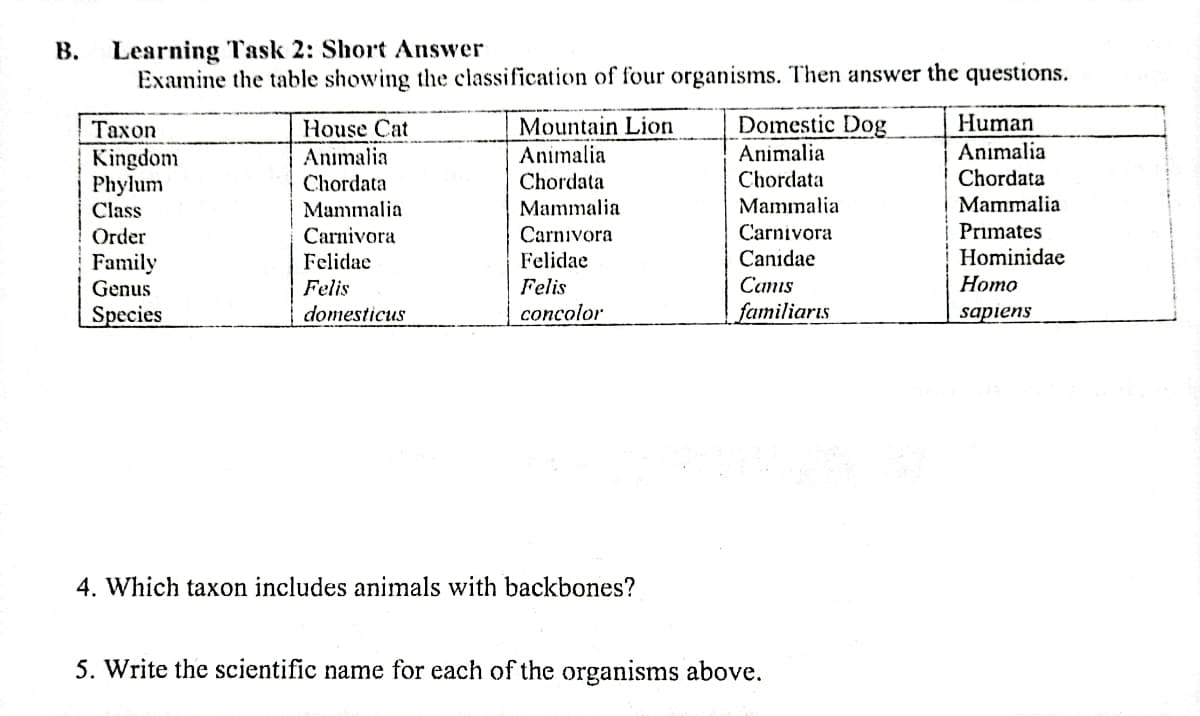Learning Task 2: Short Answer
Examine the table showing the classification of four organisms. Then answer the questions.
Taxon
House Cat
Mountain Lion
Domestic Dog
Human
Kingdom
Animalia
Animalia
Animalia
Animalia
Phylum
Chordata
Chordata
Chordata
Chordata
Class
Mammalia
Mammalia
Mammalia
Mammalia
Order
Carnivora
Carnivora
Carnivora
Primates
Family
Felidae
Felidae
Canidae
Hominidae
Felis
Felis
Canis
Homo
Genus
Species
domesticus
concolor
familiaris
sapiens
4. Which taxon includes animals with backbones?
5. Write the scientific name for each of the organisms above.
B.