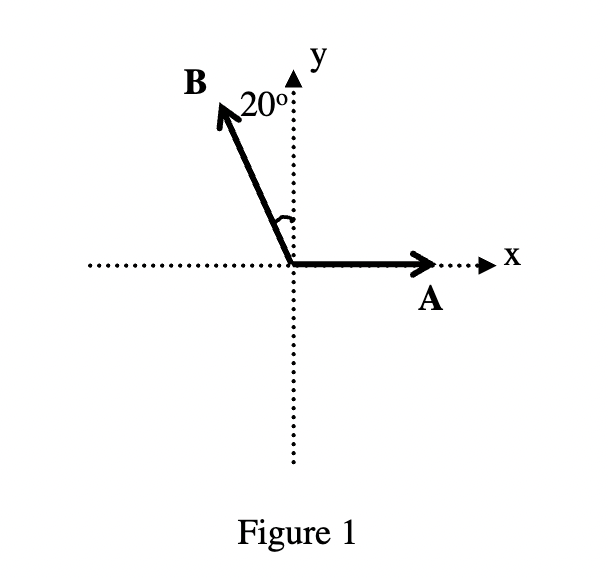 B
20⁰
у
Figure 1
A
X