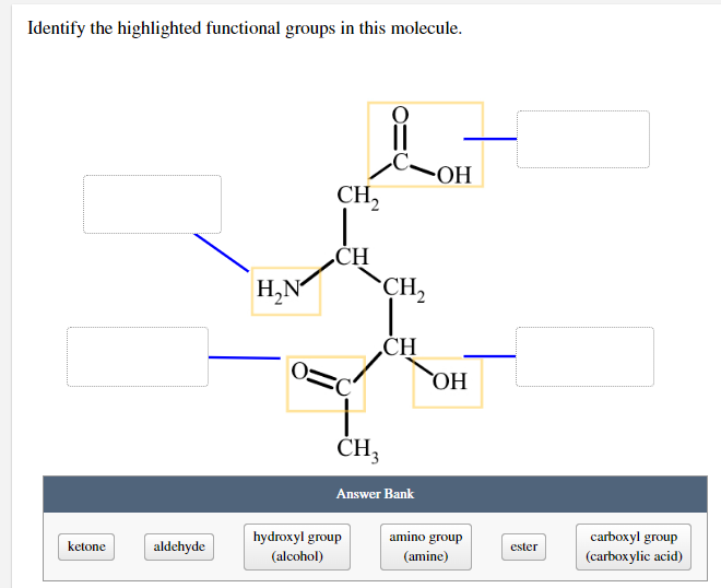 Identify the highlighted functional groups in this molecule.
-OH
CH₂
CH
ketone
aldehyde
H₂N
CH₂
CH
CH3
Answer Bank
hydroxyl group
(alcohol)
OH
amino group
(amine)
ester
carboxyl group
(carboxylic acid)