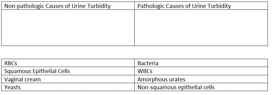 Non-pathologic Causes of Urine Turbidity
Pathologic Causes of Urine Turbidity
RBCS
Bacteria
Squamous Epithelial Cells
Vaginal cream
WBCS
Amorphous urates
Non-squamous epithelial cells
Yeasts
