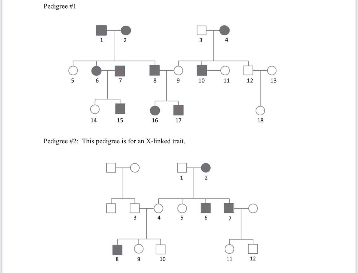 Pedigree #1
1
2
4
7
8
10
11
12
13
14
15
16
17
18
Pedigree #2: This pedigree is for an X-linked trait.
1
2
3
4
6.
7
8
9.
10
11
12
