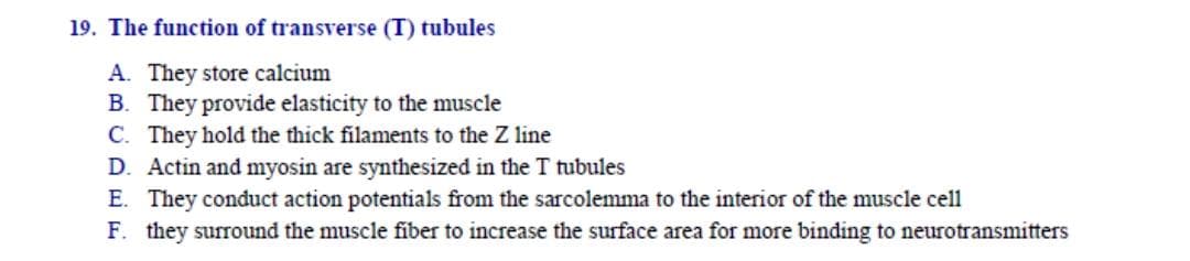 19. The function of transverse (T) tubules
A. They store calcium
B. They provide elasticity to the muscle
C. They hold the thick filaments to the Z line
D. Actin and myosin are synthesized in the T tubules
E. They conduct action potentials from the sarcolemma to the interior of the muscle cell
F. they surround the muscle fiber to increase the surface area for more binding to neurotransmitters
