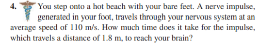 You step onto a hot beach with your bare feet. A nerve impulse,
generated in your foot, travels through your nervous system at an
average speed of 110 m/s. How much time does it take for the impulse,
which travels a distance of 1.8 m, to reach your brain?
4.
