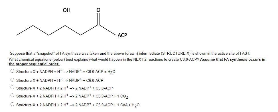OH
ACP
Suppose that a "snapshot" of FA synthase was taken and the above (drawn) intermediate (STRUCTURE X) is shown in the active site of FAS I.
What chemical equations (below) best explains what would happen in the NEXT 2 reactions to create C8:0-ACP? Assume that FA synthesis occurs in
the proper sequential order.
O Structure X + NADPH + H+ --> NADP+ + C6:0-ACP + H₂O
O Structure X + NADPH + H+ --> NADP+ + C6:0-ACP
O Structure X + 2 NADPH + 2 H+ --> 2 NADP+ + C6:0-ACP
O Structure X + 2 NADPH + 2 H+ --> 2 NADP+ + C6:0-ACP + 1 CO2
O Structure X + 2 NADPH + 2 H+ --> 2 NADP+ + C6:0-ACP + 1 CoA + H₂O